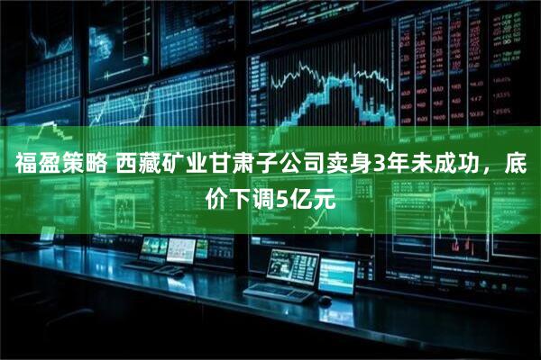 福盈策略 西藏矿业甘肃子公司卖身3年未成功，底价下调5亿元