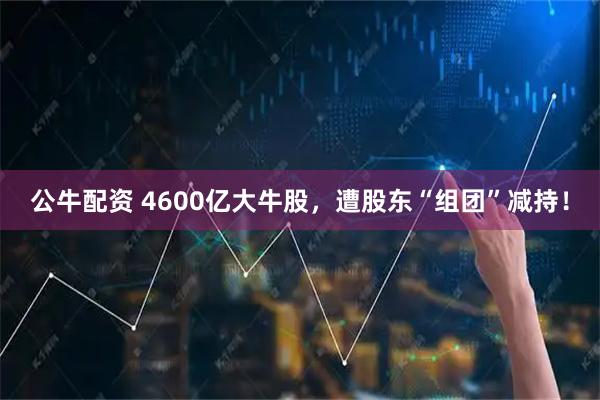 公牛配资 4600亿大牛股，遭股东“组团”减持！