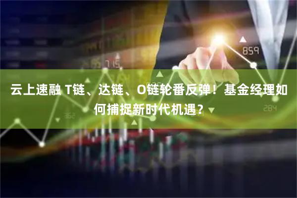 云上速融 T链、达链、O链轮番反弹！基金经理如何捕捉新时代机遇？