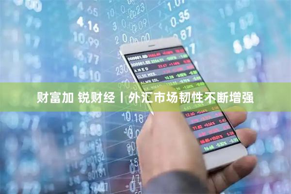 财富加 锐财经丨外汇市场韧性不断增强