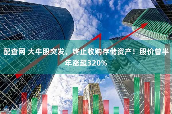 配查网 大牛股突发，终止收购存储资产！股价曾半年涨超320%